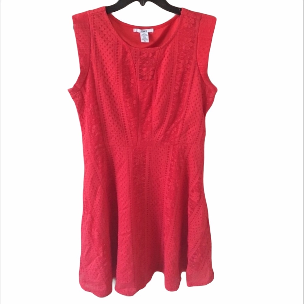 Bar III Fall Orange Sleeveless Dress